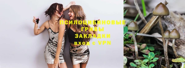 прущие грибы Белоозёрский