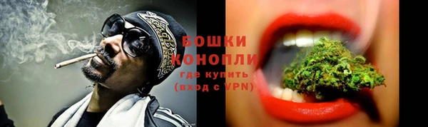 прущие грибы Белоозёрский