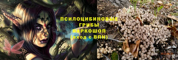 a pvp Белокуриха