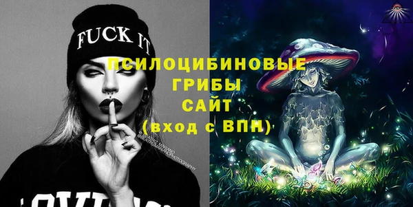 прущие грибы Белоозёрский